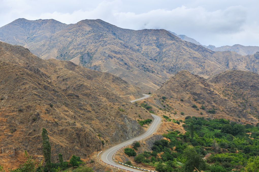 Shvanidzor